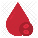 Blood Cell  Icon