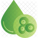 Blood Cells  Icon