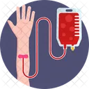 Blood Donation  Icon