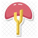 Blood Filter Immune Organ Lymphatic Organ Icon