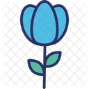 Bloom Blooming Flower Easter Flower Icon