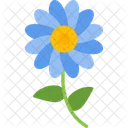 Bloom  Icon