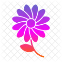 Bloom  Icon