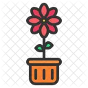 Bloom Flower Nature Icon