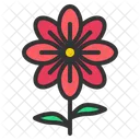 Bloom Flower Nature Icon