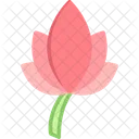 Bloom  Icon