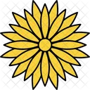 Bloom Blossom Dandelion Icon