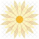 Bloom Blossom Dandelion Icon