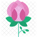 Bloom Blossom Floral Icon