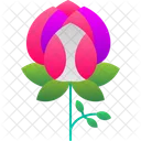 Bloom Blossom Floral Icon