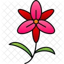 Bloom Blossom Flower Icon