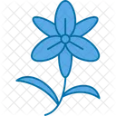 Bloom Blossom Flower Icon