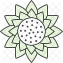 Bloom Blossom Flower Icon