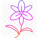 Bloom Blossom Flower Icon