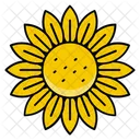 Bloom Daisy Harvest Flower Icon