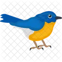 Blue Bird  Icon