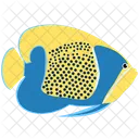 Blue Girdled Angelfish Sea Creature Animal Icon