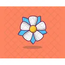 Blue Plumbago  Icon