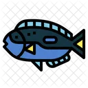 Blue Tang  Icon