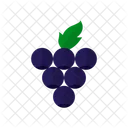 Blueberries  Icon