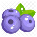 Blueberries  Icon