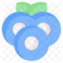 Blueberries  Icon