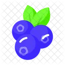 Blueberries  Icon