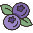 Blueberries Berry Fruit Icon