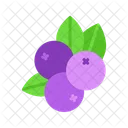 Blueberry  Icon