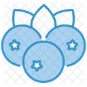 Blueberry Icon