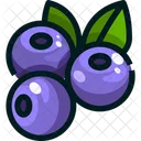 Blueberry Icon