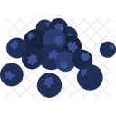 Blueberry Bilberry High Bush Icon