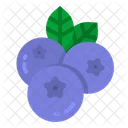 Blueberry Fruit Dessert Icon