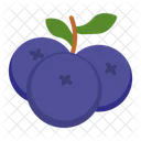 Blueberry  Icon