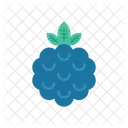 Blueberry  Icon