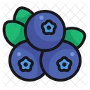 Blueberry  Icon