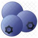 Blueberry  Icon