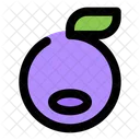 Blueberry  Icon