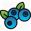 Blueberry  Icon