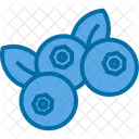 Blueberry  Icon