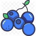 Blueberry  Icon