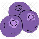 Blueberry Fruit Food Icon