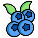 Blueberry  Icon