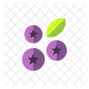 Fruit Icon