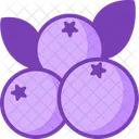 Blueberry Fruit Food Icon