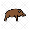 Boar  Icon