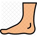 Body Foot  Icon