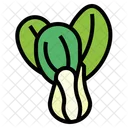 Bok Choy  Icon