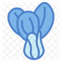 Bok Choy  Icon