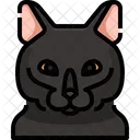 Bombay Cat Cat Face Icon